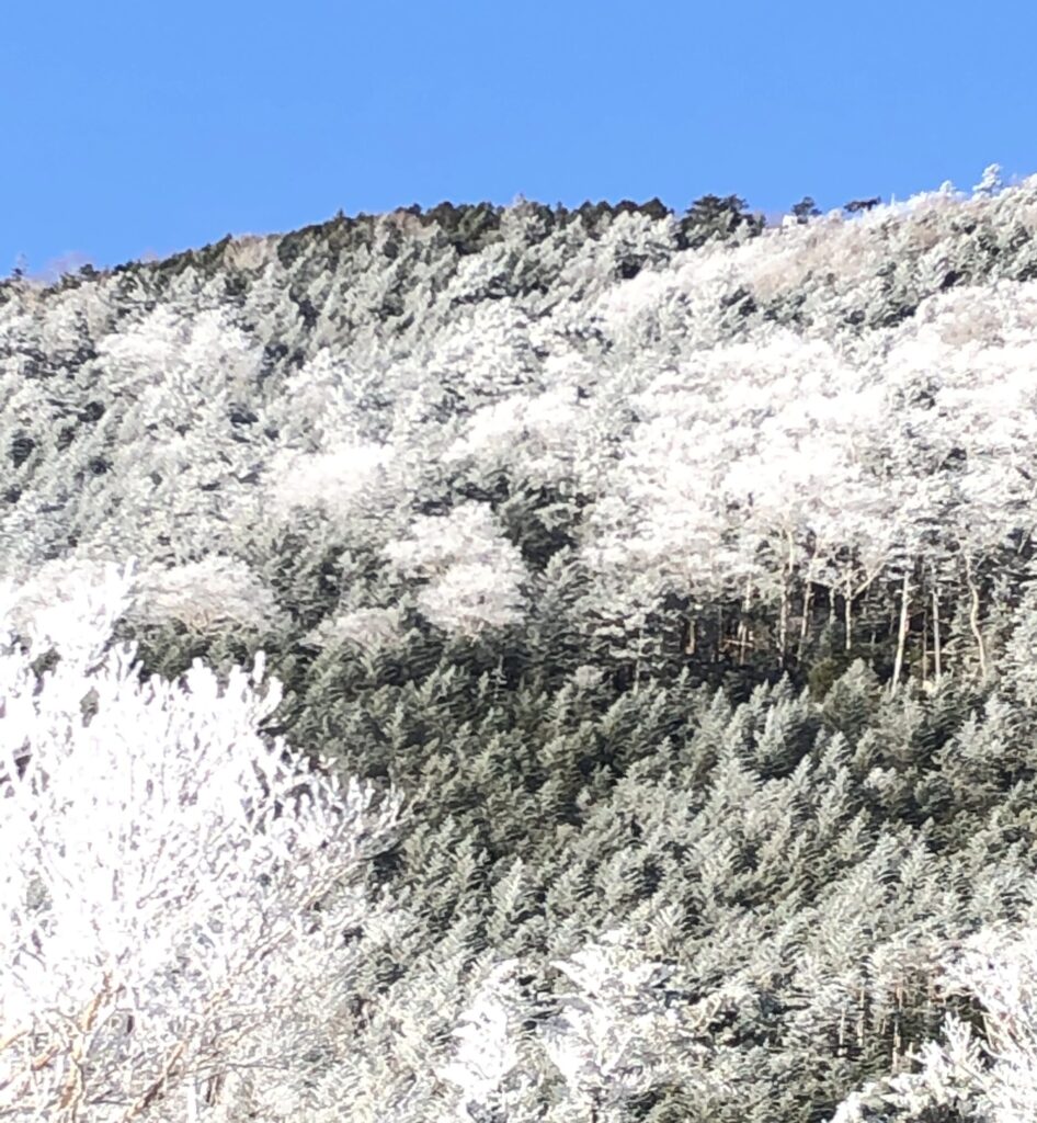 還暦登山No.04　失敗の甲武信ヶ岳