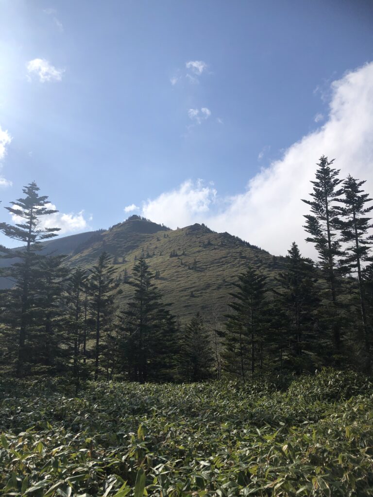 還暦登山No.24　コロナでつぶれた四阿山。我慢できなくて。