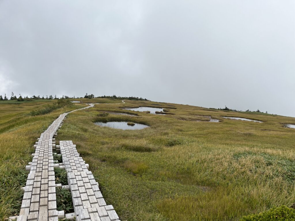 還暦登山No.40　信越トレイルの追加トレイル。苗場山から秋山郷を超えて、天水山へ。そして松之山温泉に帰る。