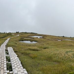 還暦登山No.40　信越トレイルの追加トレイル。苗場山から秋山郷を超えて、天水山へ。そして松之山温泉に帰る。