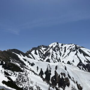 還暦登山NO.42 唐松から五竜へ。　撤退。